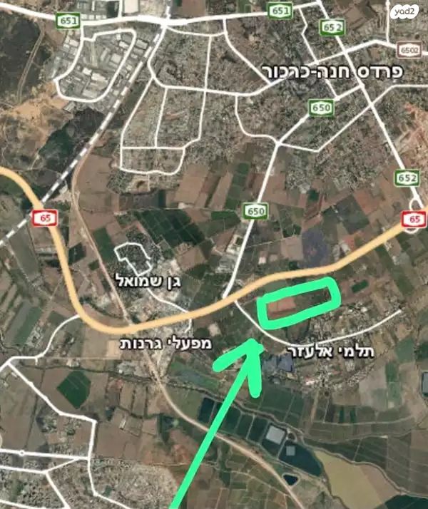 הראשונים 15