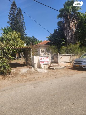 יגאל 15