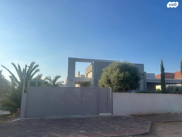 הזית 1