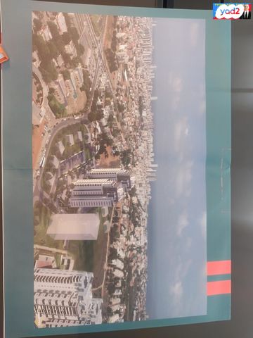 דירה, הרב יוסף אלישיב, כוכב הצפון, נתניה