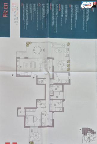 דירה, הרב יוסף אלישיב, כוכב הצפון, נתניה