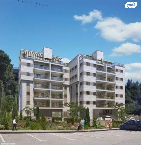 שדרות הצבי 40