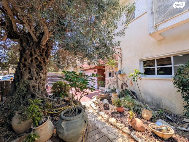 בית פרטי/ קוטג', פרדסיה