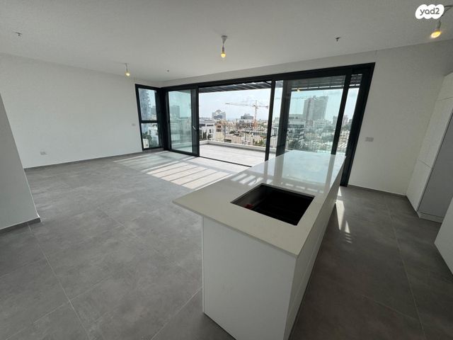 גג/ פנטהאוז, דיזנגוף, הצפון הישן - צפון, תל אביב יפו