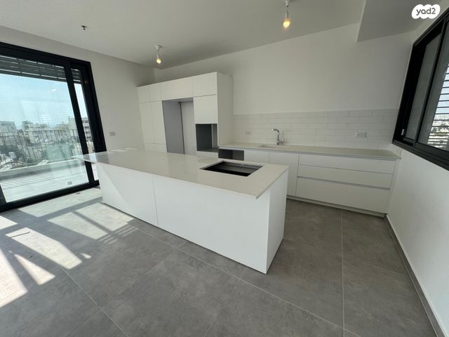 גג/ פנטהאוז, דיזנגוף, הצפון הישן - צפון, תל אביב יפו