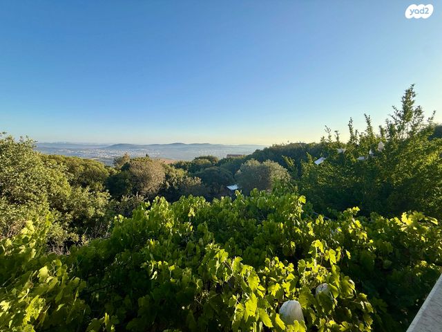 בית פרטי/ קוטג', כמון