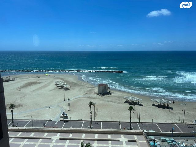 דירה, דוד אלעזר, חוף הכרמל, חיפה