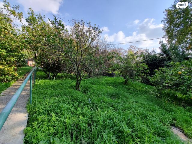 מגרשים, העמק, קרית עמל, קרית טבעון