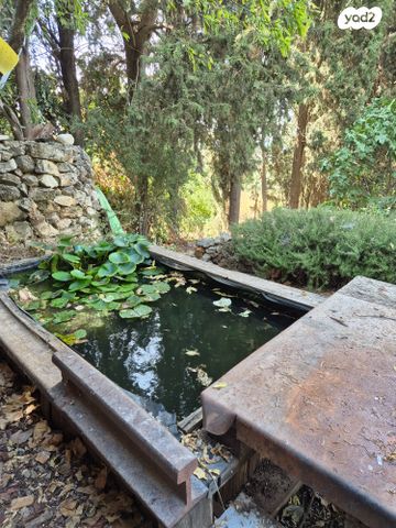 משק חקלאי/ נחלה, רמת רזיאל