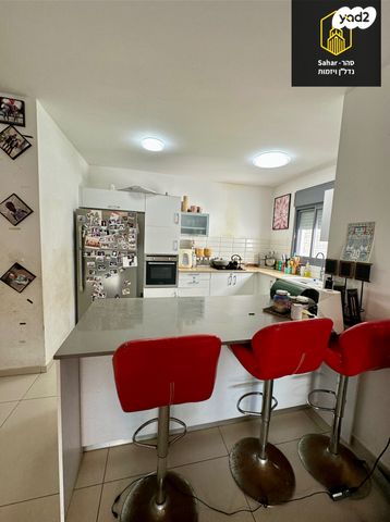 דירה, אלפי מנשה