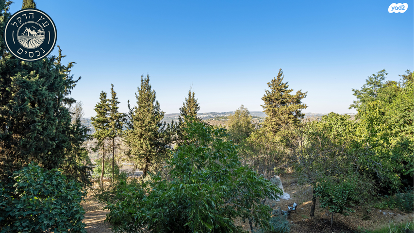 משק חקלאי/ נחלה, רמת רזיאל