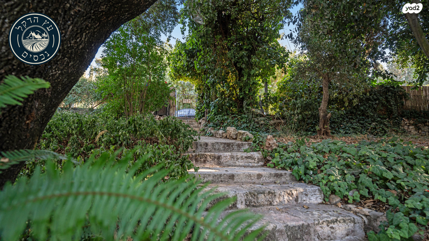 משק חקלאי/ נחלה, רמת רזיאל