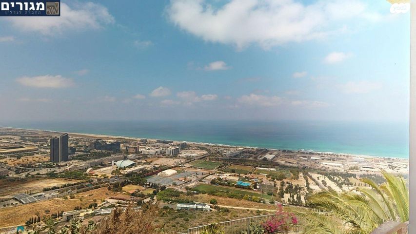 שלומציון המלכה 