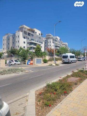 אלון 