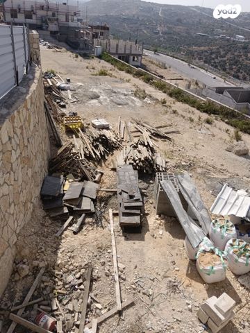 רקפת 1