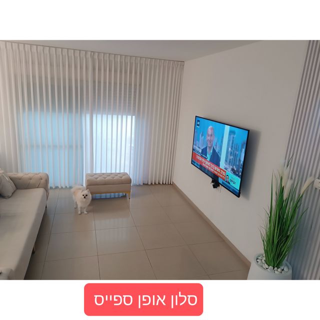 אלישע 8