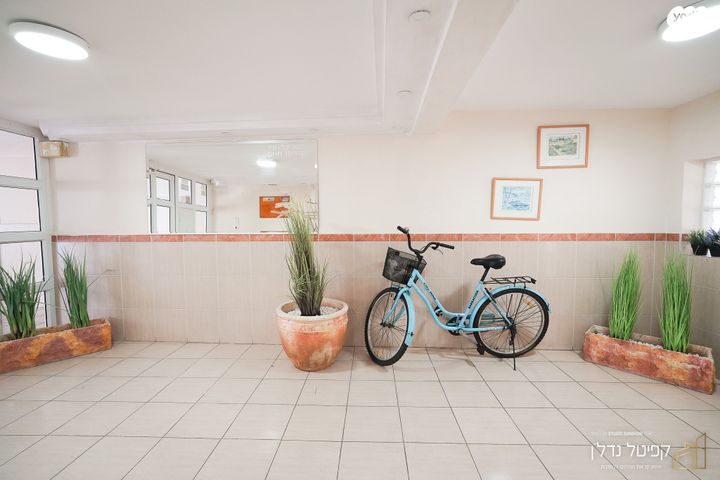 דירה, וולפסון, עיר, מרכז העיר, נהריה