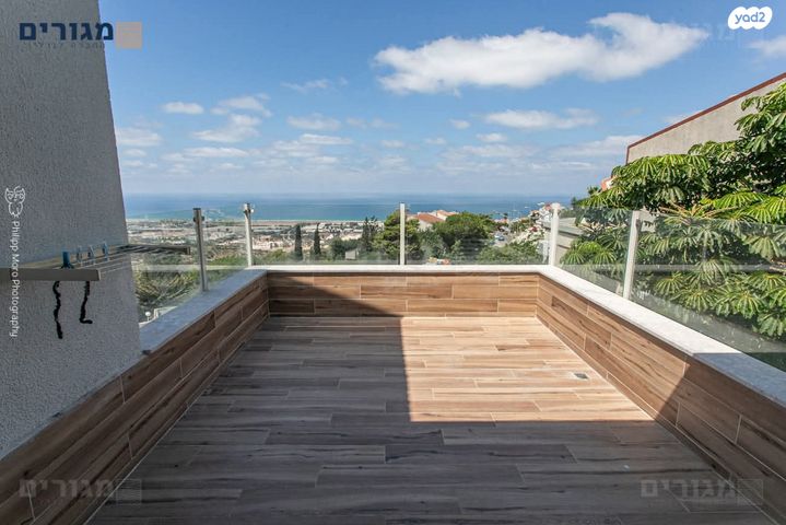 אלברט שווייצר 