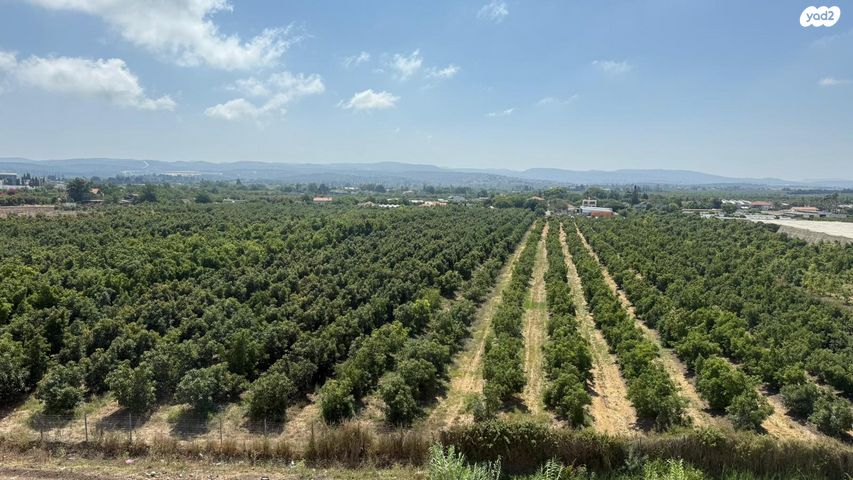 נהריה הירוקה