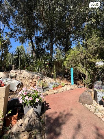 דירה, יפה נוף, אבטליון, אבטליון