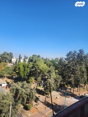 דירה, שדרות הרצל, השופטים צפון, רמלה