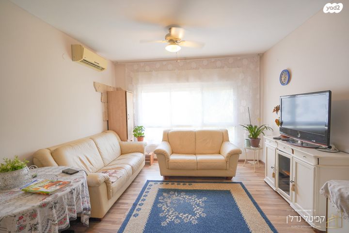 דירה, וולפסון, עיר, מרכז העיר, נהריה