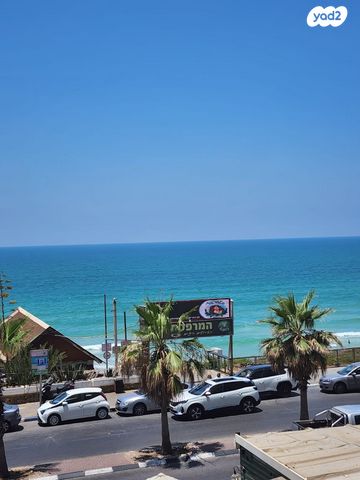 גינוסר 12