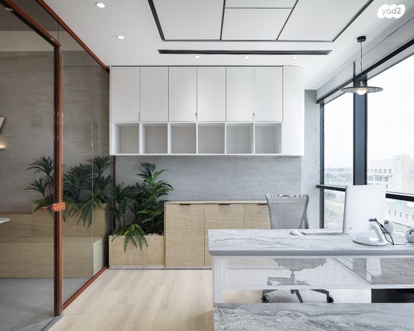 משרדים, שביט 8, שאר העיר, נס ציונה