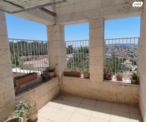 רקפת 14