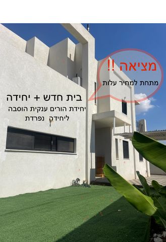 כ"ט בנובמבר 43