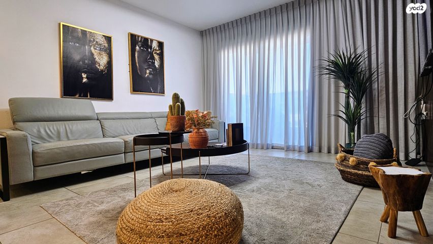 דירה, הגל, החותרים, טירת כרמל