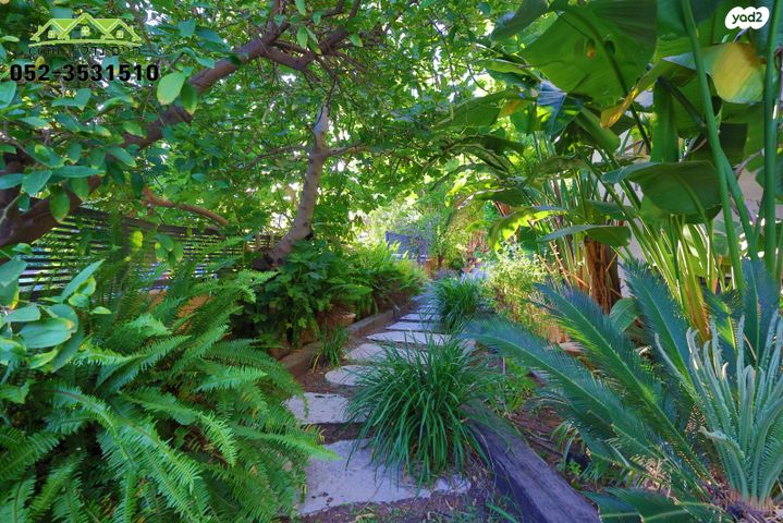 דו משפחתי, בית דגן