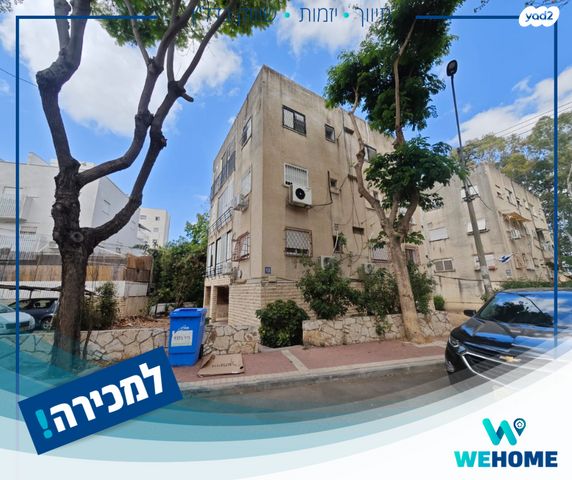 דליה 