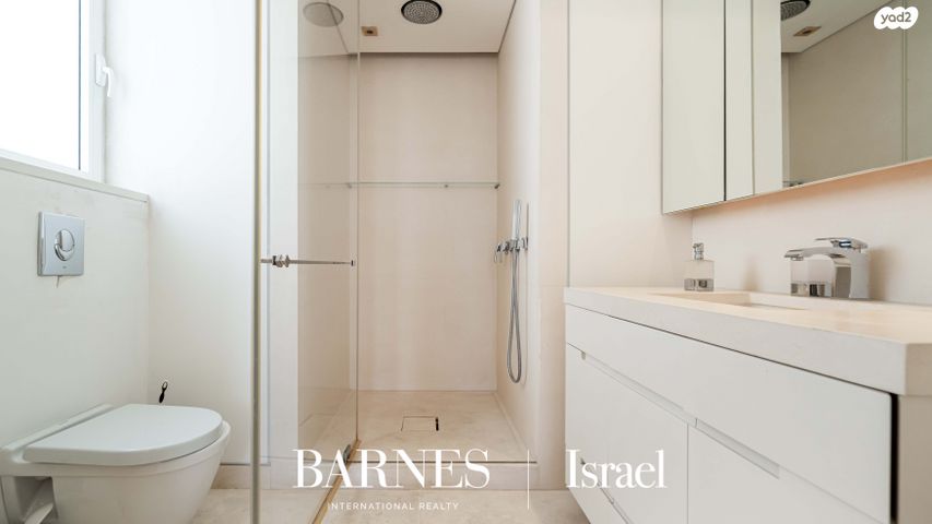 דופלקס, דוד ילין, תל אביב יפו