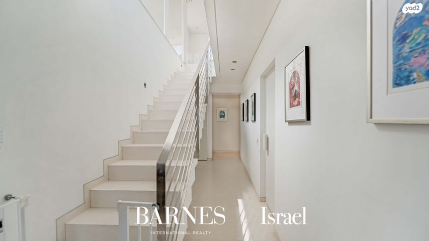 דופלקס, דוד ילין, תל אביב יפו