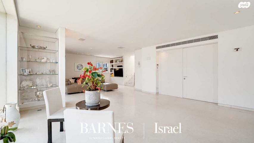 דופלקס, דוד ילין, תל אביב יפו