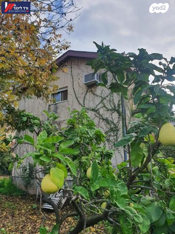 דו משפחתי, שאר העיר, רמת ישי