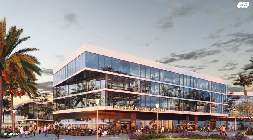 שושנה דמארי 