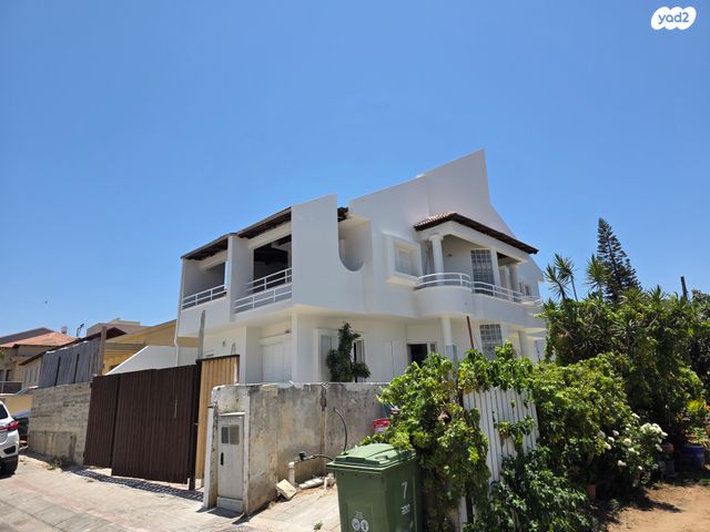 שבטי ישראל 5