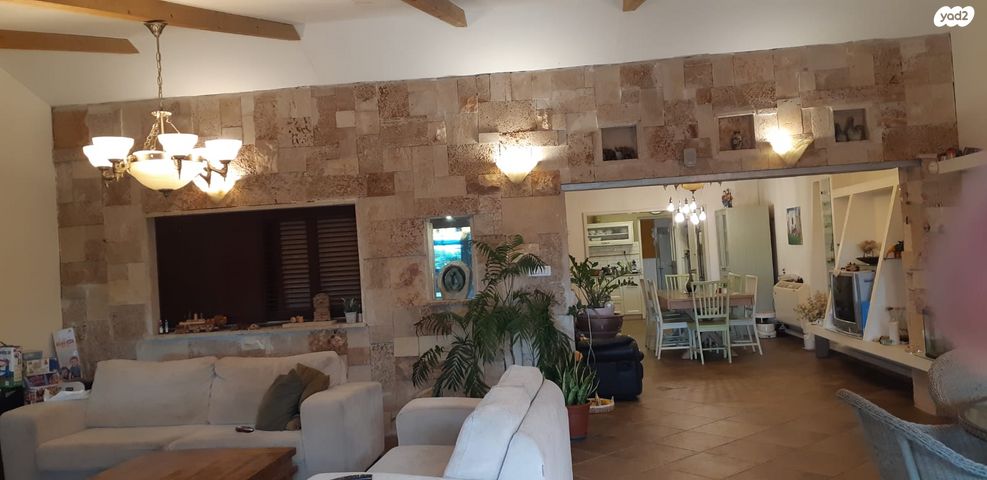 הארגמן 42