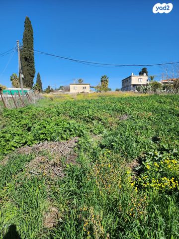 מגרשים, מרכז עפולה עלית, עפולה