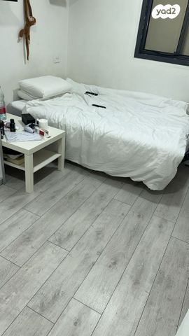 דירת גן, טשרניחובסקי, כרמל צרפתי, חיפה