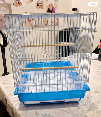 אביזרים | כלוב האכלת יד