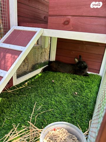 אביזרים | כלוב