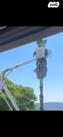 מודעת רכב מנוף