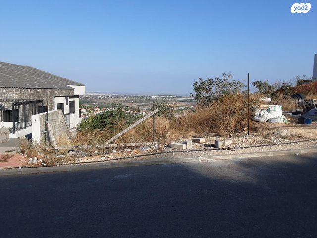 רימון 251