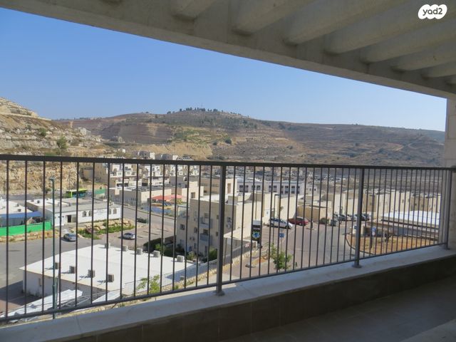 האיילות 67