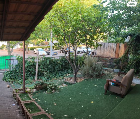 בציר 31