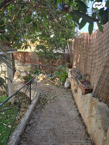 קרן קיימת לישראל 53