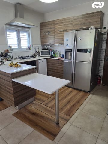 דוד צבי פנקס 16